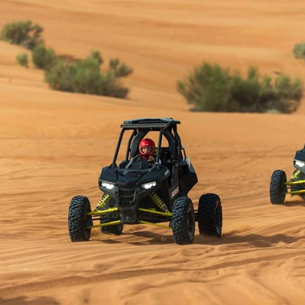 With Dinner Tour With Dinner - Half Day - 2 Hours Buggy - 2 Seater - CAN-AM X3