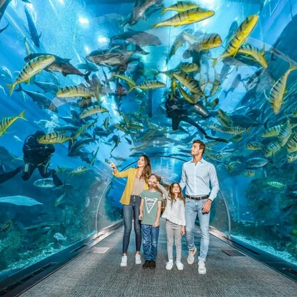 Dubai Family Fun Activities Dubai Aquarium & Underwater Zoo