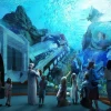 SeaWorld Abu Dhabi Attractions