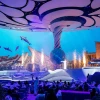 SeaWorld Abu Dhabi show