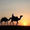 Camel Ride2