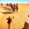 camel-ride