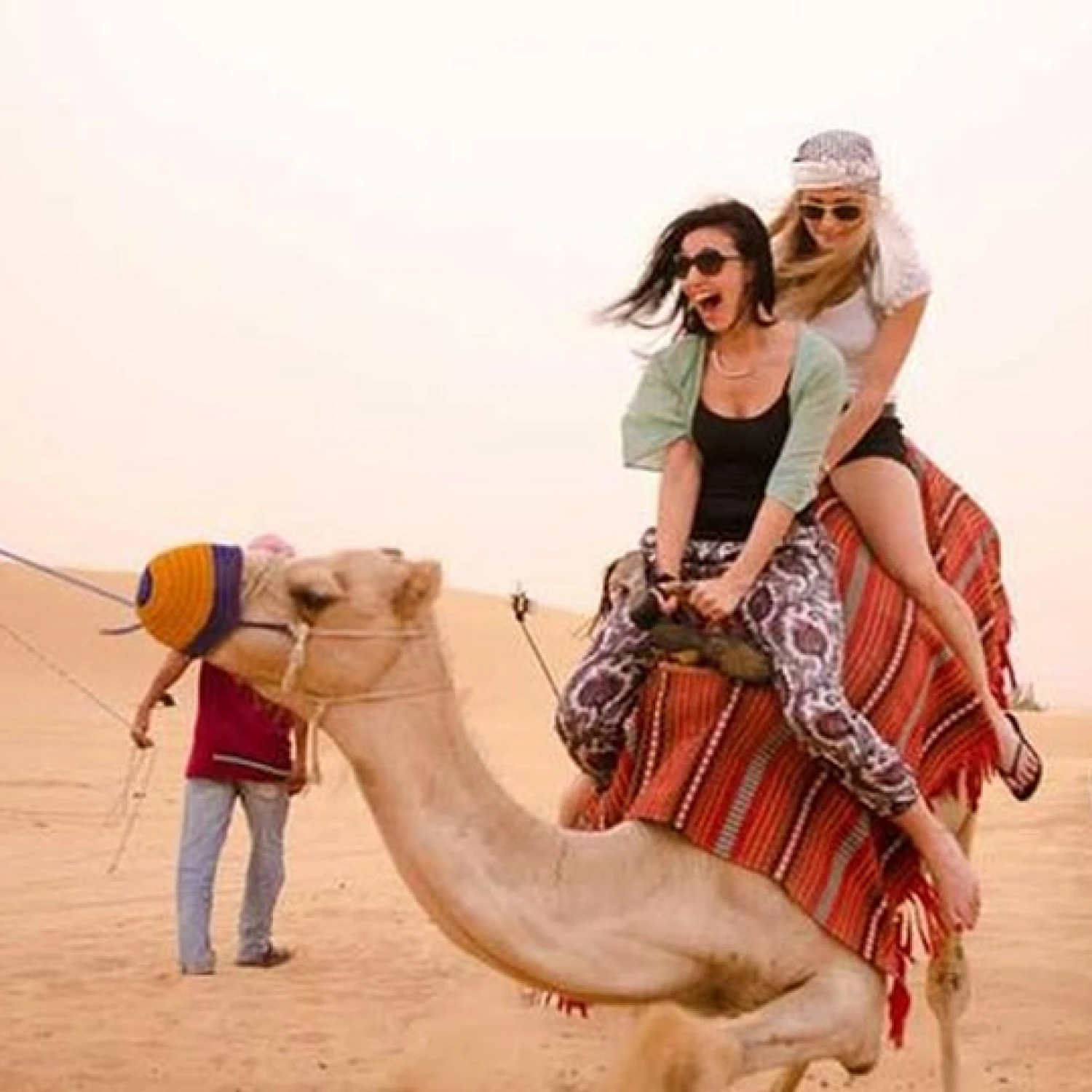 camel-ride