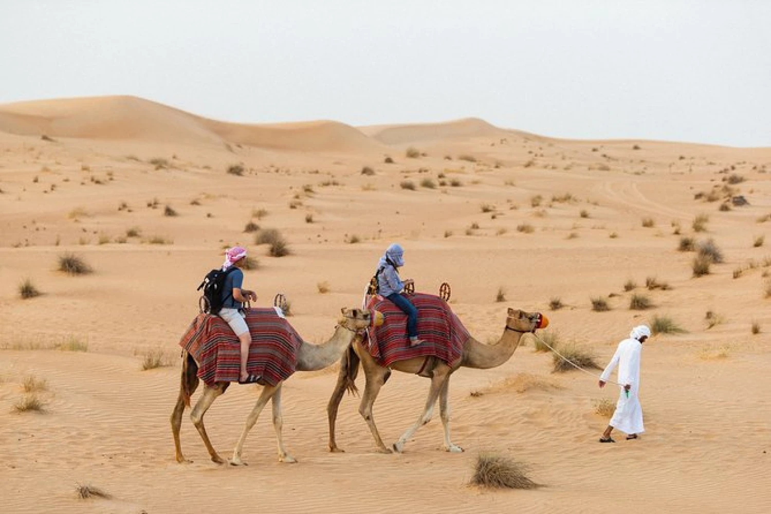 Camel Ride