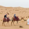 Camel Ride