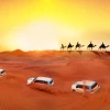 Dune-Bashing-Dubai